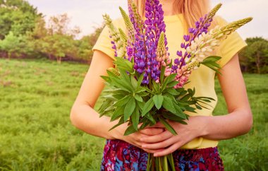 Bir kızın ellerinde bir buket lupin..