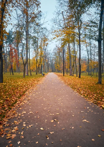 Аллея Осеннем Парке Красочными Деревьями — стоковое фото