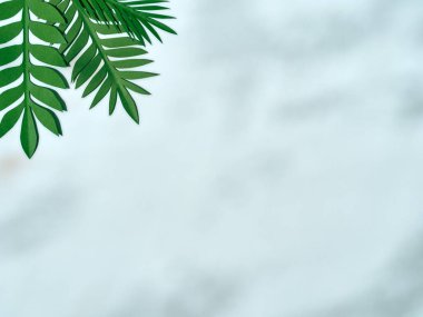 Yeşil kağıt yapraklı yaz arkaplanı.