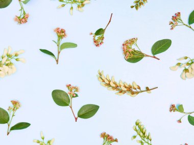 Mavi arka planda yaz çiçekleri deseni. Üst manzara, düz uzanma.