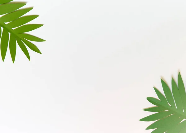 Sommer Hintergrund Mit Buntem Papier Tropischen Blättern — Stockfoto
