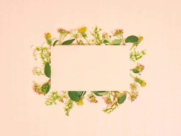 Κενό Χαρτί Πλαίσιο Από Λουλούδια Επίπεδη Lay Αντίγραφο Χώρου Πάνω — Φωτογραφία Αρχείου