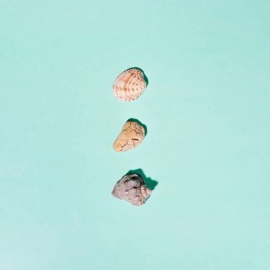 Mavi arka planda deniz kabukları ve taşlar olan yaz konsepti. Üst manzara, düz uzanma.