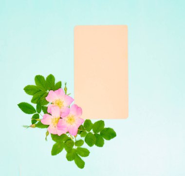 Mavi arkaplanda yabani gül çiçekleri olan metin için boş kağıt.