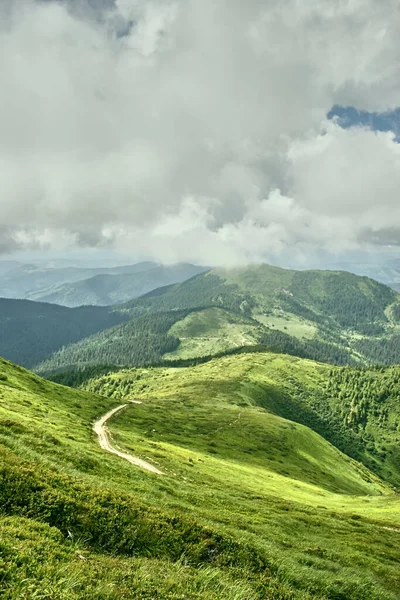 Καλοκαιρινό Τοπίο Στα Καρπάθια Βουνά Συννεφιασμένο Ουρανό Καρπάθια Ουκρανία Ευρώπη — Φωτογραφία Αρχείου