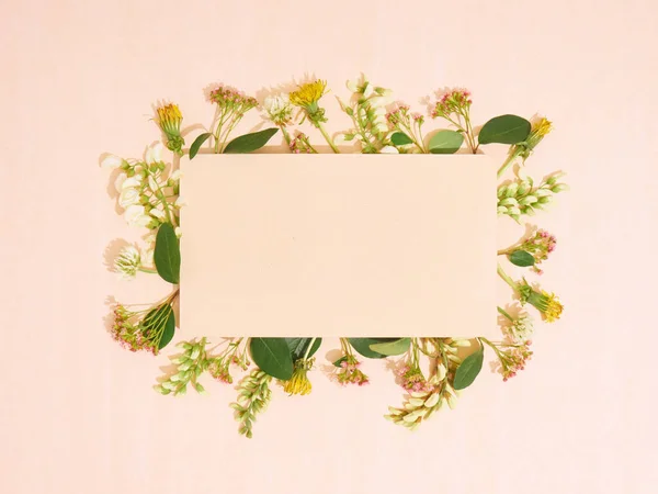 Κενό Χαρτί Πλαίσιο Από Λουλούδια Επίπεδη Lay Αντίγραφο Χώρου Πάνω — Φωτογραφία Αρχείου