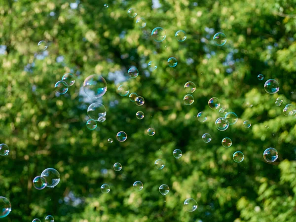 緑の自然を背景に石鹸泡 — ストック写真