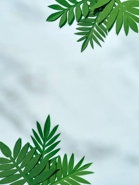 Sommer Hintergrund Mit Grünem Papier Tropischen Blättern — Stockfoto