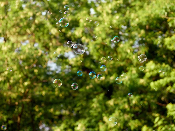 Bolhas Sabão Fundo Natureza Verde — Fotografia de Stock