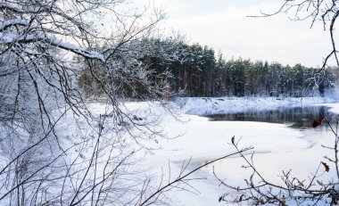 Çok fazla kar, kozalaklı bir orman ve sudan yükselen buharlı bir nehir var.