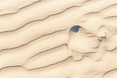 Kum dokusu. Rüzgarın çökmüş dalgası.