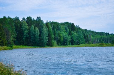 göl kıyısında çam ormanı içinde