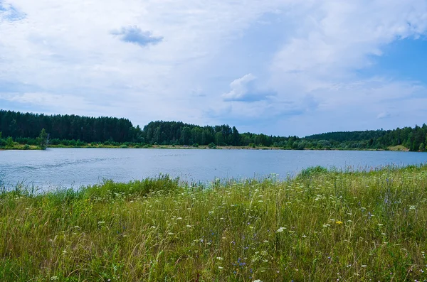 Tó és a mező — Stock Fotó