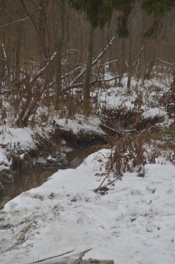 Karlı bir ormandaki nehir