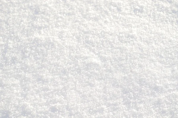 Pure white snow Stock Image