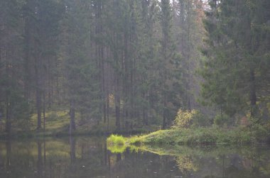 Sonbahar Orman Gölü sabah