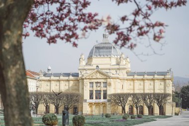 Baharda muhteşem sarı binaları ve manolya ağaçları olan şehir meydanı. Zagreb mimarisi ve çiçek açan manolyalar.