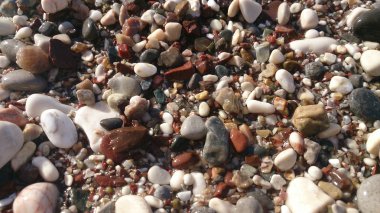 renkli deniz taşları