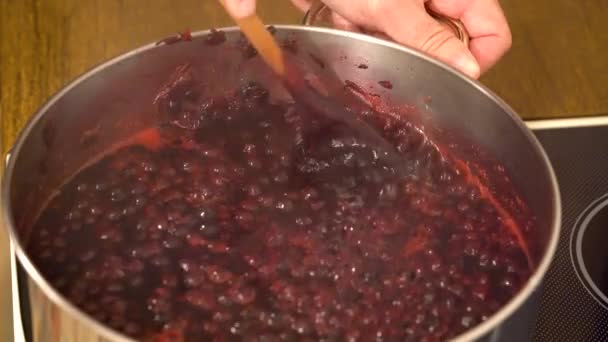 Cozinhar Misturar Amassar Aronia Numa Panela Melanocarpa — Vídeo de Stock