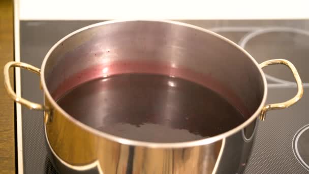 Suco Aronia Cozinha Uma Panela Melanocarpa — Vídeo de Stock