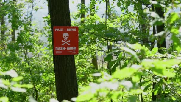 Waarschuwing Landmijnen Inscriptietabel Boom — Stockvideo