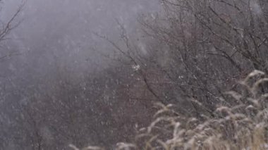 Kışın dağ manzarası ve güçlü kar