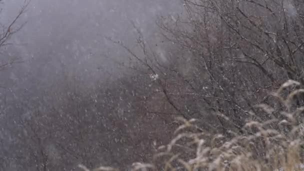 Horská Krajina Zimě Silný Sníh — Stock video