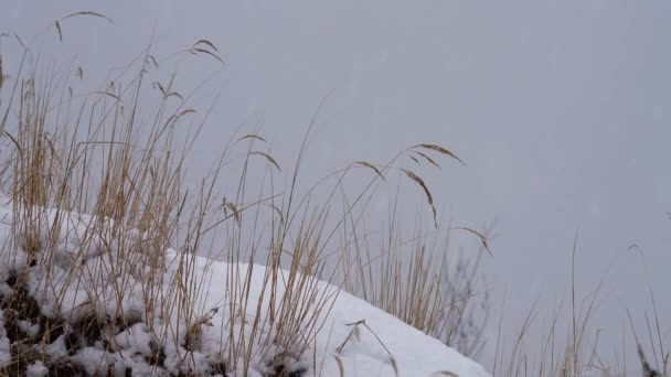 Bergslandskap Vintern Och Stark Snö — Stockvideo