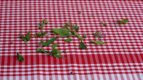 Corte Consuelda Mesa Con Fines Médicos Symphytum Officinale — Vídeos de Stock