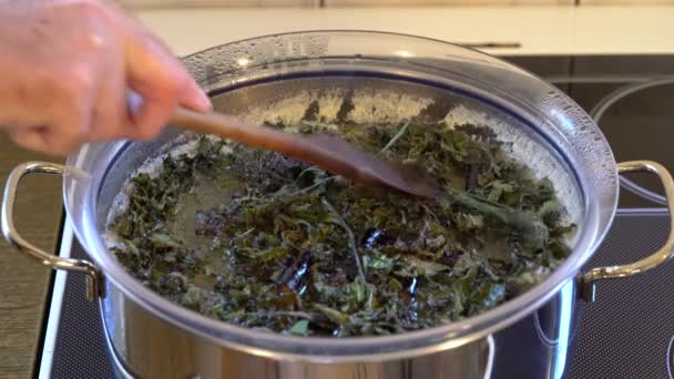 乾燥させたコンフリーの葉と根を溶かしたバターでクリーム用に調理する 梅毒事務局 — ストック動画