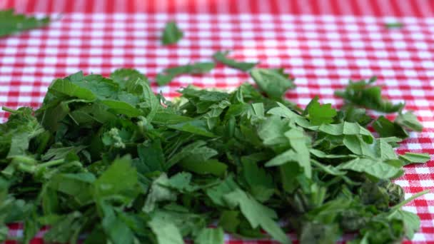 Dělené Mladé Kopřivy Malých Kouscích Urtica Dioica — Stock video