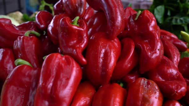 Čerstvá Zelenina Prodej Červená Paprika — Stock video