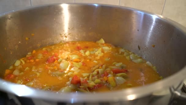 Cucinare Verdure Miste Fatte Casa Guvec Pentola — Video Stock