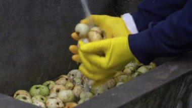 Doğal Elma Sirkesi (Acetum)