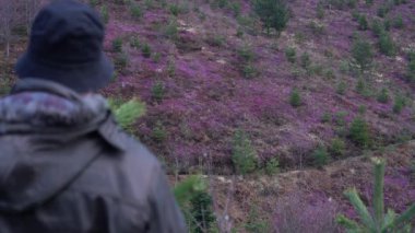 Bahar çiçeğindeki kış fundalığı (Erica carnea)