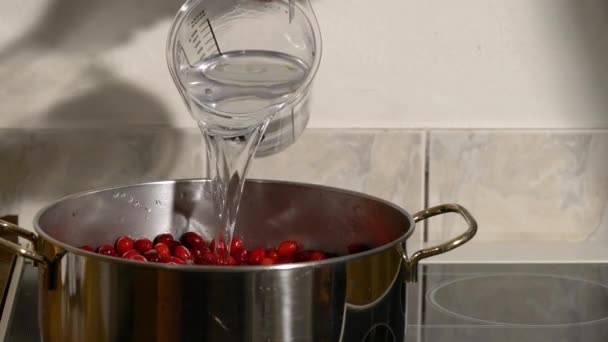 ヨーロッパの料理のためのコーネルと鍋に水を入れる コーナス — ストック動画