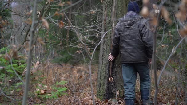 Ağaç Kabuğunda Doğal Dikey Işaret — Stok video