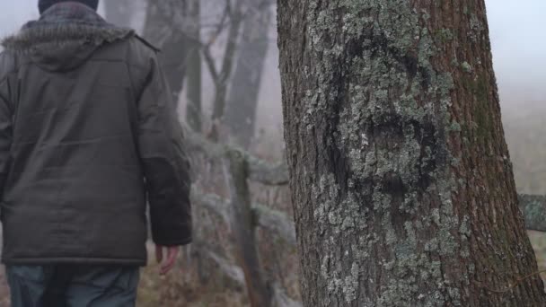 Mężczyzna Idzie Obok Oznaczonego Drzewa Wewnątrz Drewnianego Ogrodzenia Oddali — Wideo stockowe