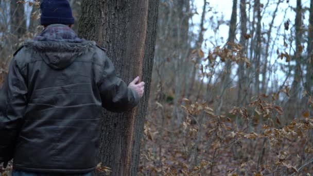 Señal Vertical Natural Corteza Del Árbol — Vídeos de Stock