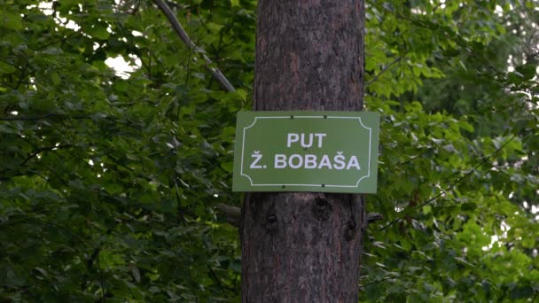 Placa Árvore Floresta Com Nome Estrada — Vídeo de Stock