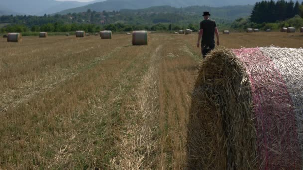 Великий Круглий Солом Яний Тюк Полі — стокове відео