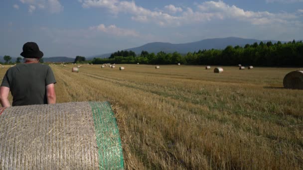 Gran Paca Redonda Paja Campo — Vídeos de Stock