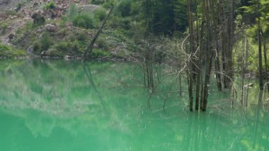 Jasenica Gölü, Vlasiç dağı, Bosna-Hersek