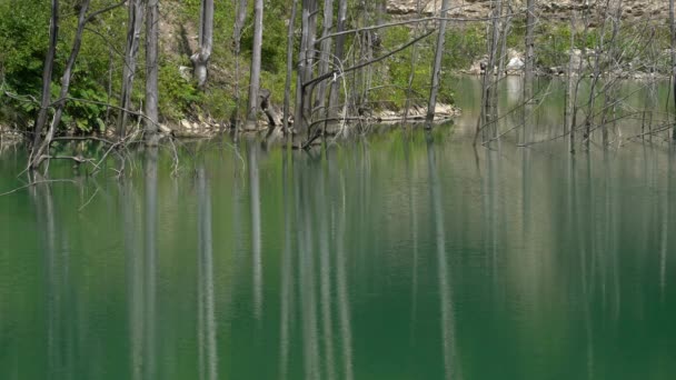 ヤセニツァ湖 ヴラツ山脈 ボスニア ヘルツェゴビナ — ストック動画