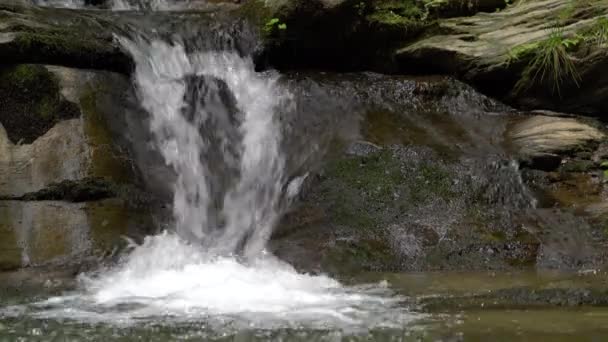 Ροή Καταρράκτη Στον Ορεινό Ποταμό — Αρχείο Βίντεο