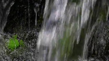 Nehirdeki Şelale deresi