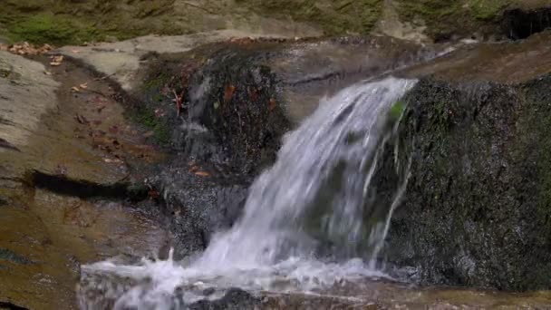 渓流の滝 — ストック動画