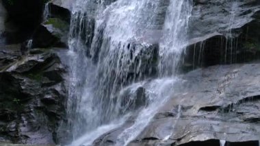 Nehirdeki Şelale deresi