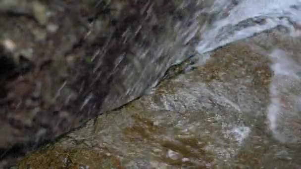 Stream Cascata Sul Fiume Montagna — Video Stock