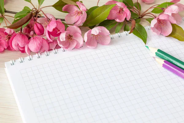 Empty notebook and pink apple blossoms on the white table. Woman working desk. — Stock Photo, Image